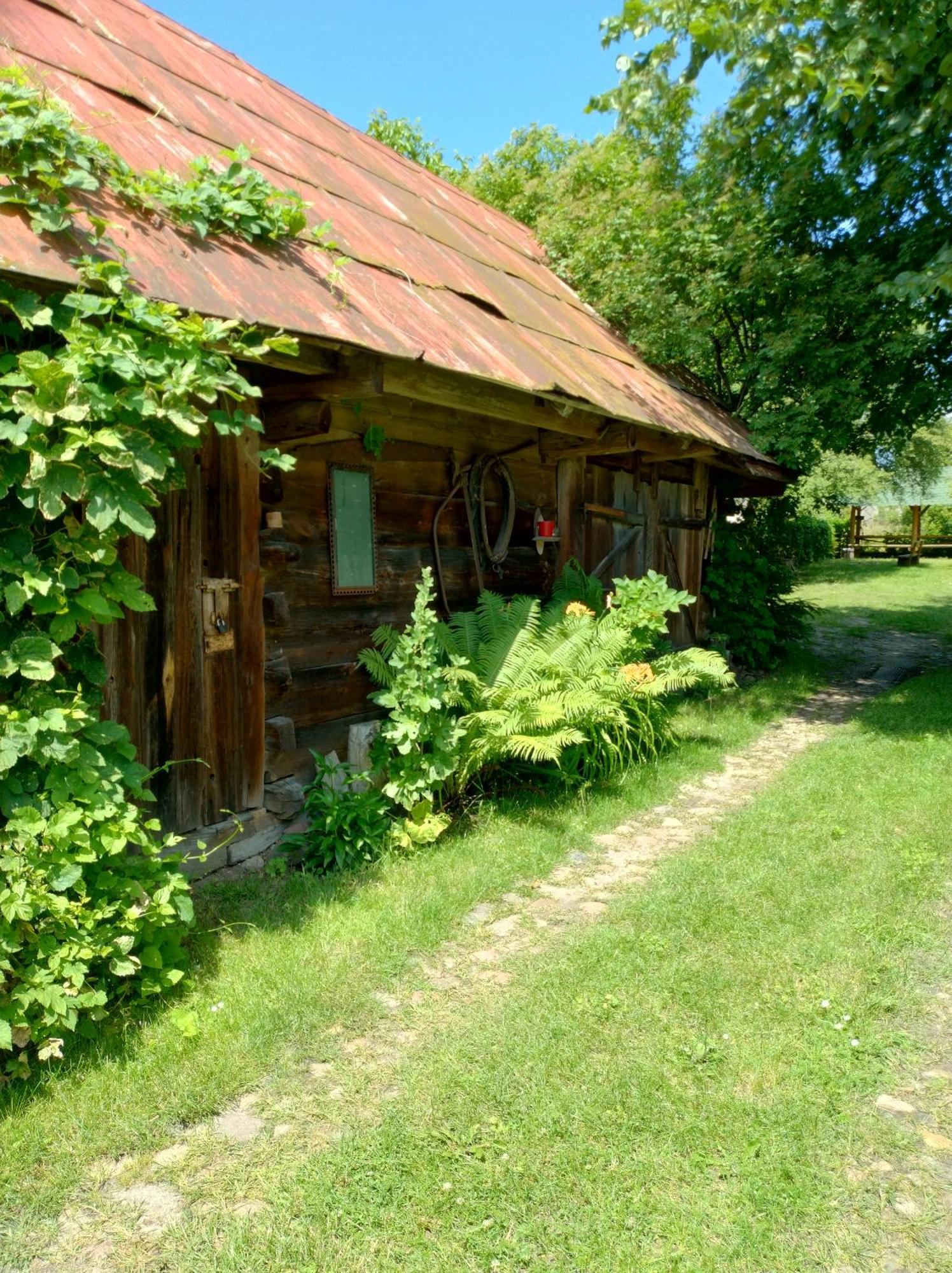 Dom Sloneczko Pokoje Do Wynajecia W Bialowiezy Bialowieza Bagian luar foto