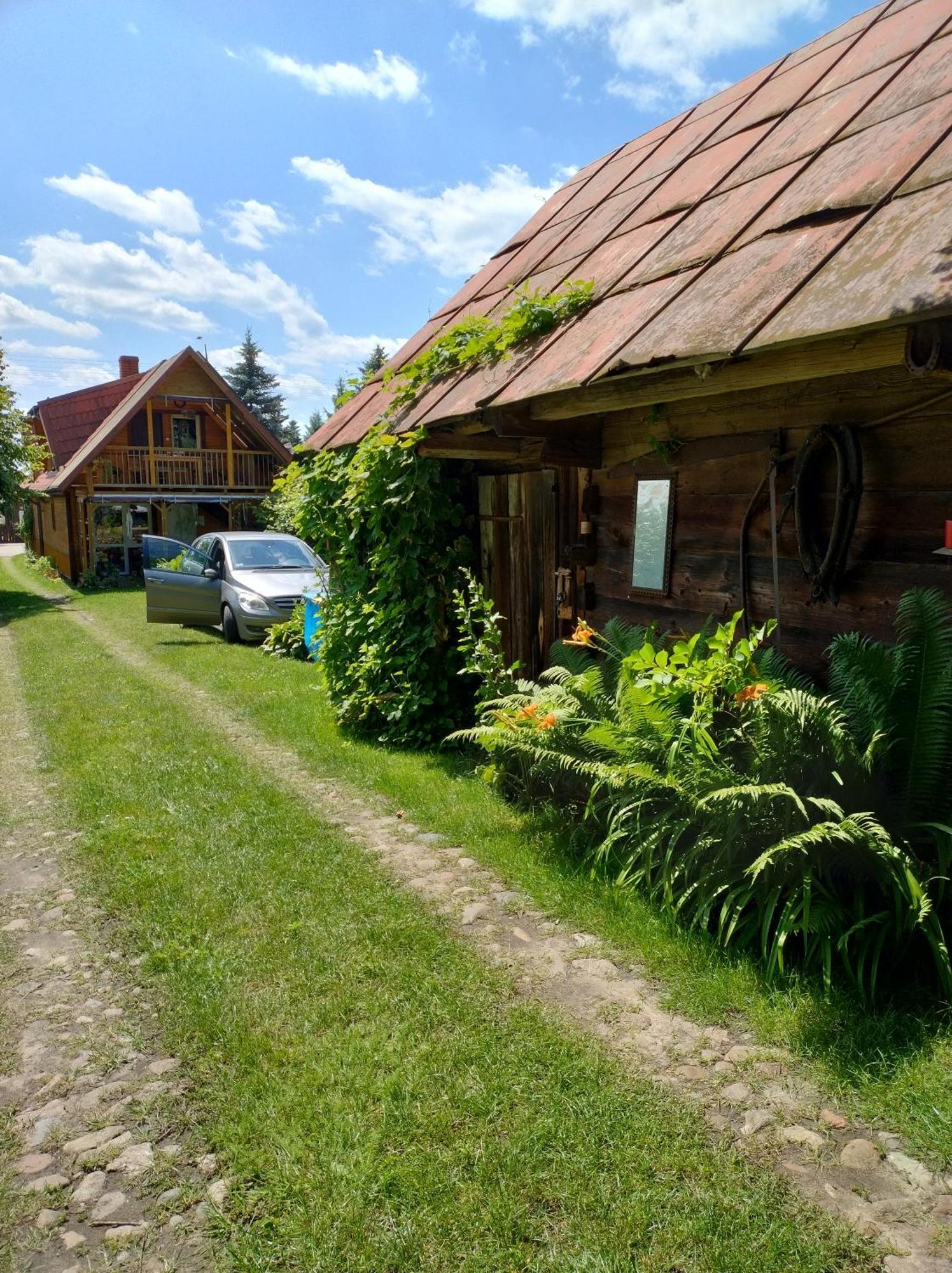 Dom Sloneczko Pokoje Do Wynajecia W Bialowiezy Bialowieza Bagian luar foto